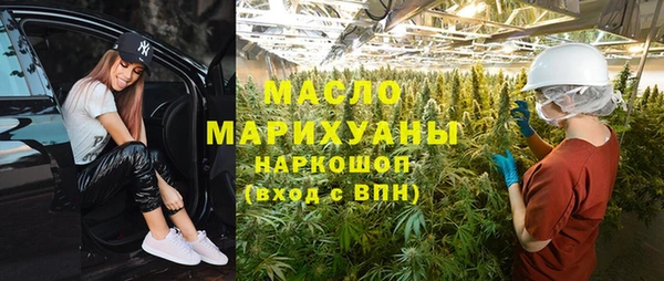 мдпв Каменногорск