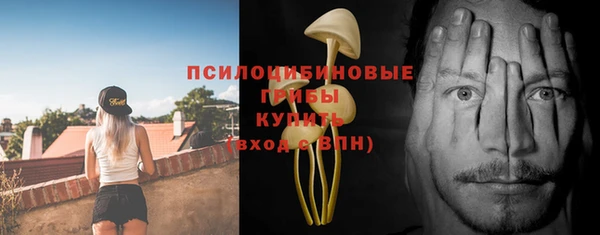 мдпв Каменногорск