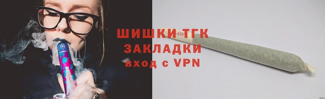 мдпв Каменногорск