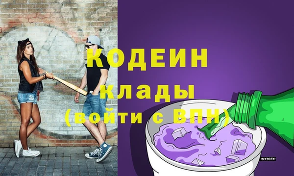мдпв Каменногорск