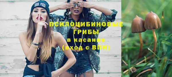 эйфоретик Каменка