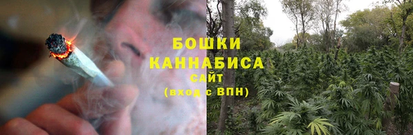 мдпв Каменногорск