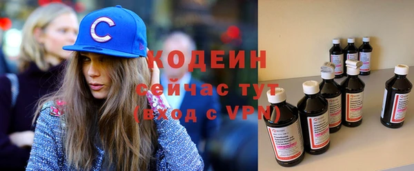 мдпв Каменногорск