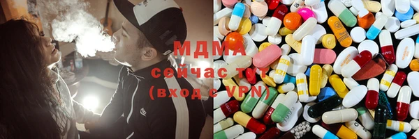 мдпв Каменногорск
