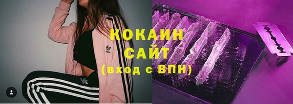 мдпв Каменногорск